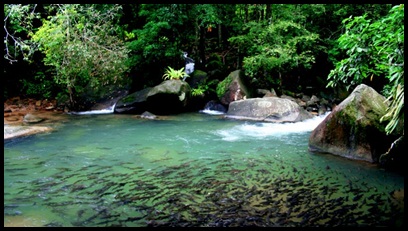 เที่ยวอุทยานแห่งชาติน้ำตกพลิ้ว หาดแหลมสิงห์ จังหวัดจันทบุรี