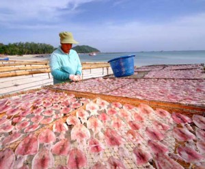 งามวิถีชีวิตชุมชน หาดโฉลกหลำ งามล้ำ หินสวย หาดหินงาม เกาะพะงัน สุราษฏร์ธานี